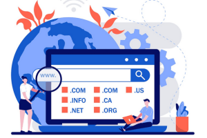 Startupcomma.com, Platform Jual Aged dan Expired Domain Murah untuk Pemula